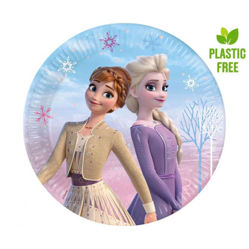 Picture of FROZEN 2 WINDS PAPER PLATES 23CM - 8 PACK